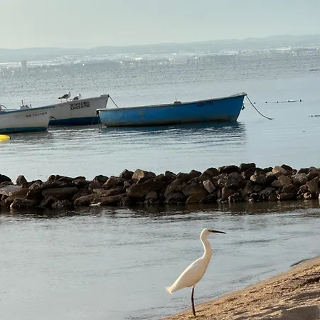 Capri Апартаменти *